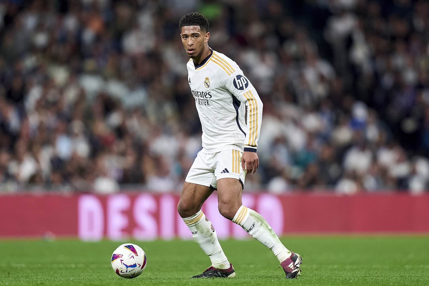 注并参与到 注并参与到